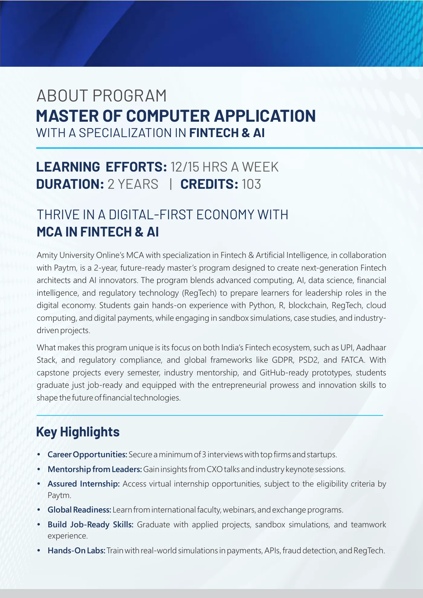 Amity University — course brochure, page 113. Open the PDF for full-size reading.