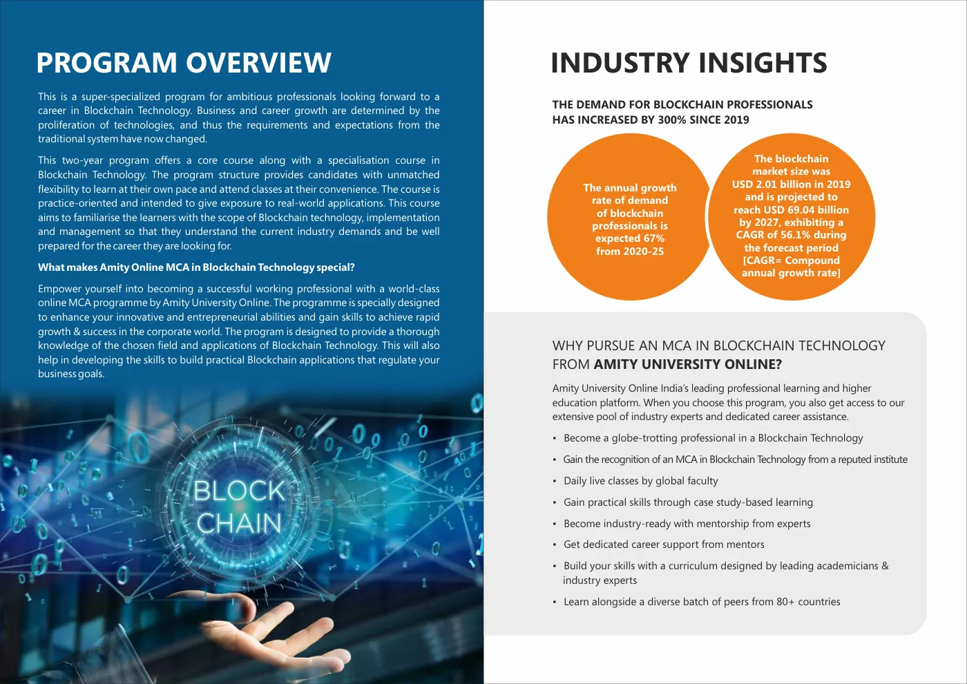 Amity University — course brochure, page 117. Open the PDF for full-size reading.