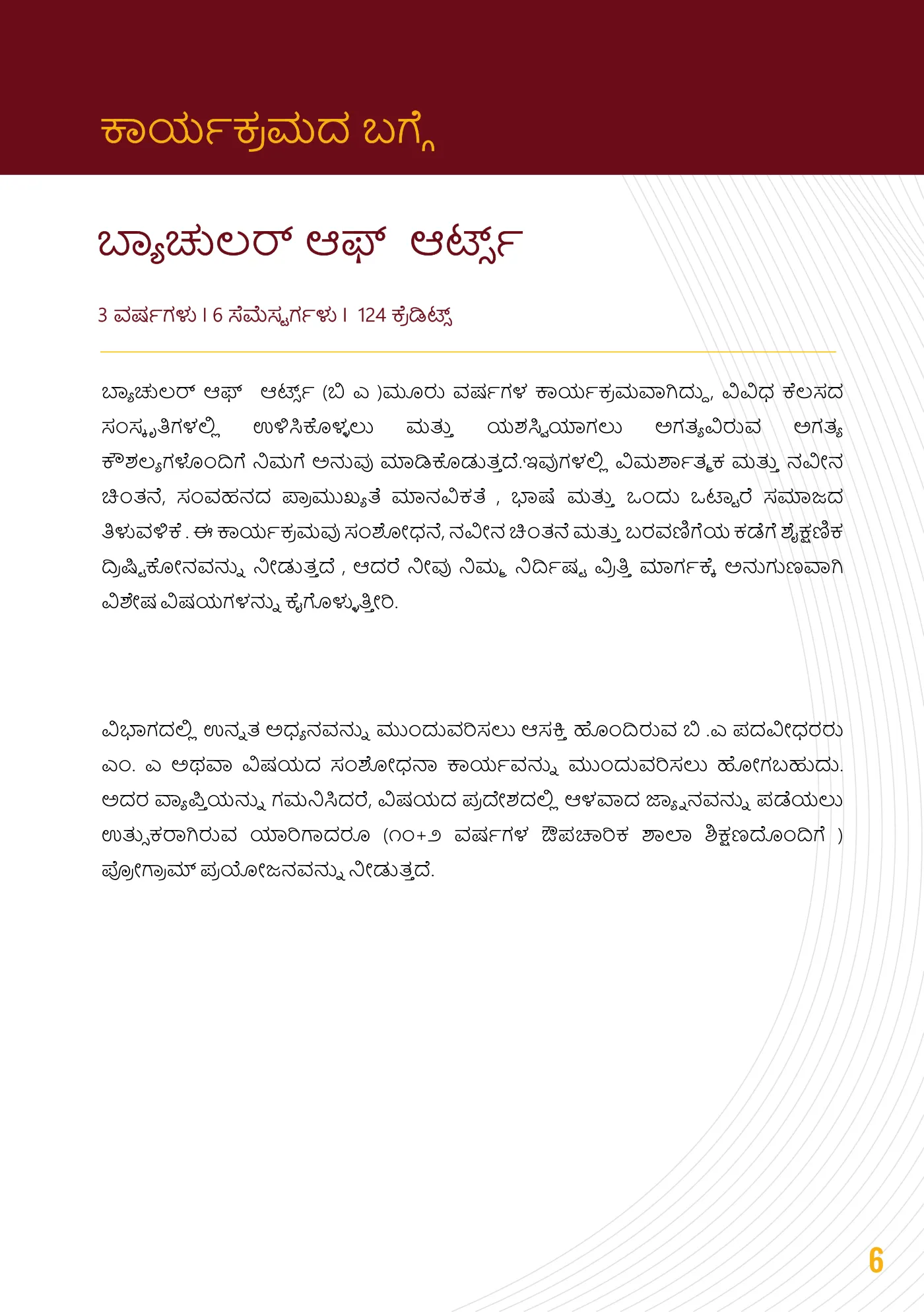 Amity University — course brochure, page 13. Open the PDF for full-size reading.