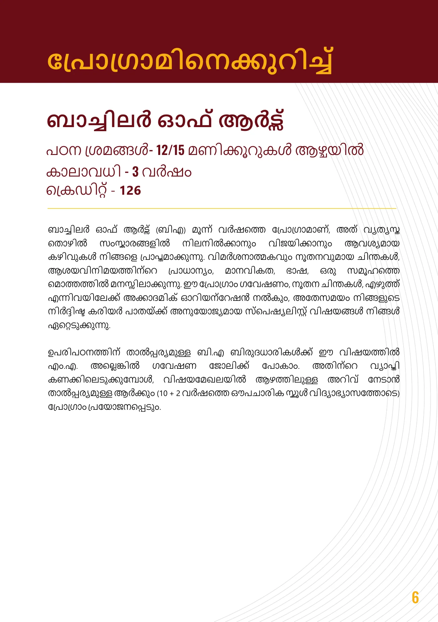 Amity University — course brochure, page 17. Open the PDF for full-size reading.